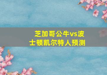 芝加哥公牛vs波士顿凯尔特人预测