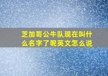 芝加哥公牛队现在叫什么名字了呢英文怎么说