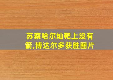 苏察哈尔灿靶上没有箭,博达尔多获胜图片