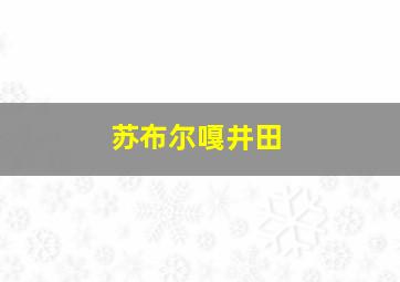 苏布尔嘎井田