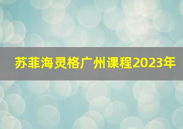 苏菲海灵格广州课程2023年