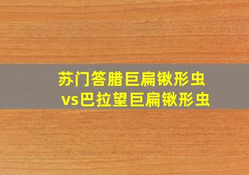 苏门答腊巨扁锹形虫vs巴拉望巨扁锹形虫