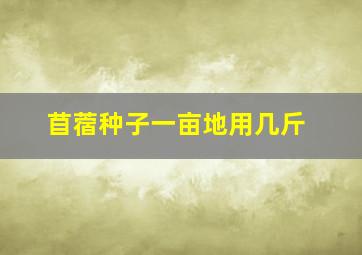 苜蓿种子一亩地用几斤