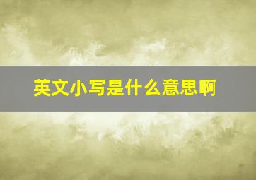 英文小写是什么意思啊