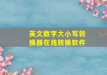 英文数字大小写转换器在线转换软件