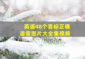 英语48个音标正确谐音图片大全集视频