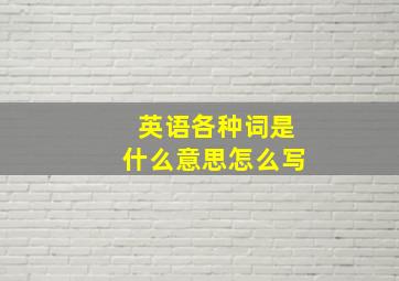 英语各种词是什么意思怎么写