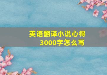 英语翻译小说心得3000字怎么写