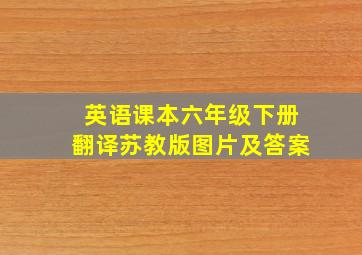 英语课本六年级下册翻译苏教版图片及答案