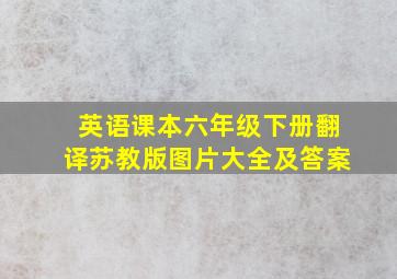 英语课本六年级下册翻译苏教版图片大全及答案