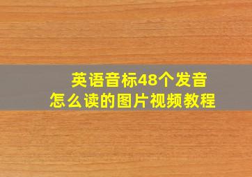 英语音标48个发音怎么读的图片视频教程