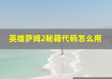 英雄萨姆2秘籍代码怎么用