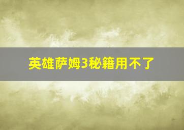 英雄萨姆3秘籍用不了