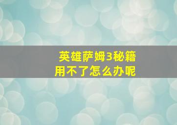 英雄萨姆3秘籍用不了怎么办呢