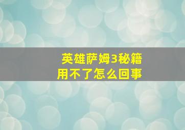 英雄萨姆3秘籍用不了怎么回事