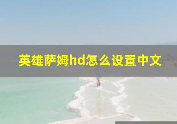 英雄萨姆hd怎么设置中文