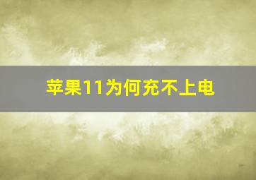 苹果11为何充不上电