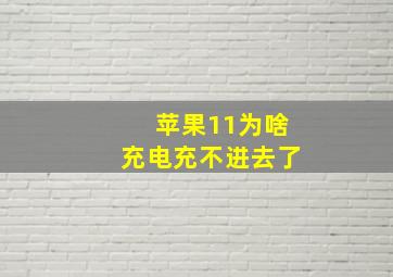 苹果11为啥充电充不进去了