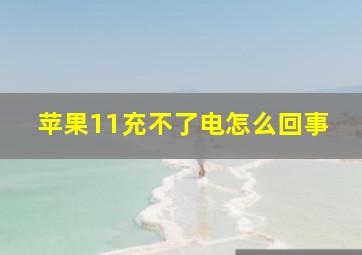 苹果11充不了电怎么回事