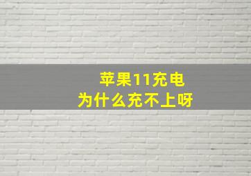 苹果11充电为什么充不上呀