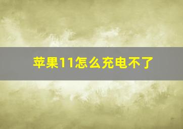 苹果11怎么充电不了