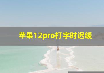 苹果12pro打字时迟缓