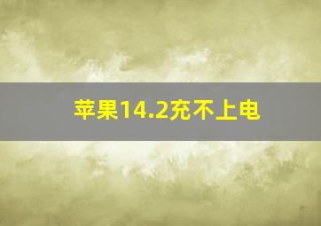 苹果14.2充不上电