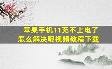 苹果手机11充不上电了怎么解决呢视频教程下载