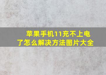 苹果手机11充不上电了怎么解决方法图片大全