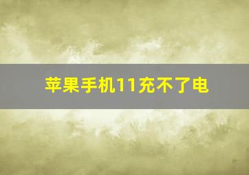 苹果手机11充不了电