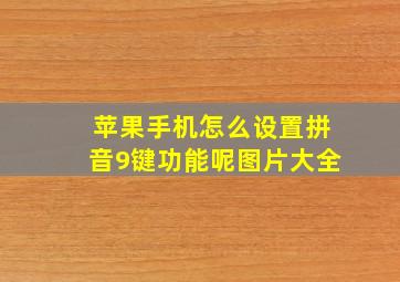 苹果手机怎么设置拼音9键功能呢图片大全