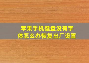 苹果手机键盘没有字体怎么办恢复出厂设置