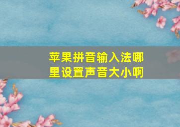 苹果拼音输入法哪里设置声音大小啊