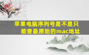 苹果电脑序列号是不是只能查最原始的mac地址