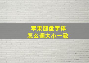 苹果键盘字体怎么调大小一致