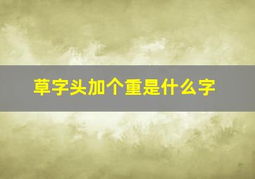 草字头加个重是什么字