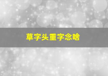 草字头重字念啥