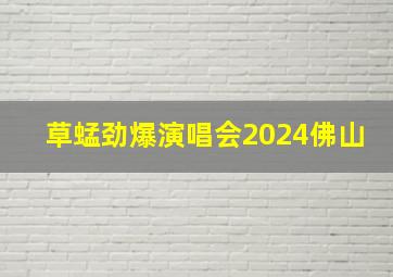 草蜢劲爆演唱会2024佛山