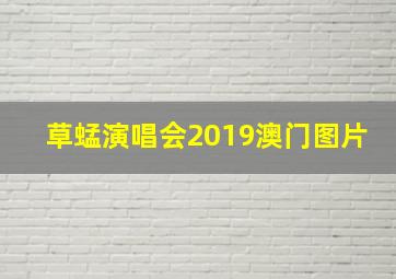 草蜢演唱会2019澳门图片