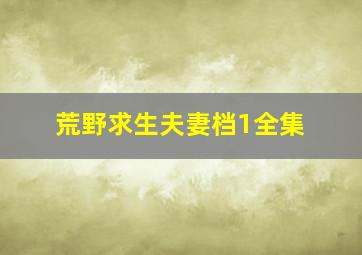 荒野求生夫妻档1全集