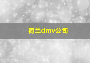 荷兰dmv公司