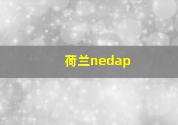 荷兰nedap