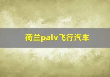 荷兰palv飞行汽车