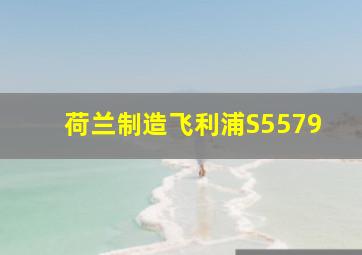 荷兰制造飞利浦S5579