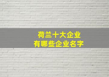 荷兰十大企业有哪些企业名字