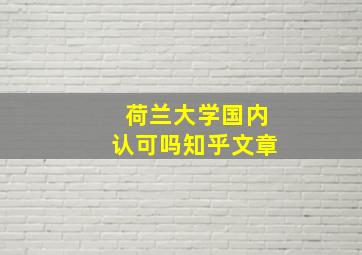 荷兰大学国内认可吗知乎文章