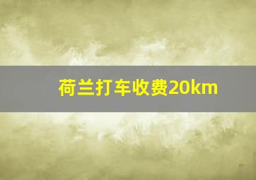 荷兰打车收费20km