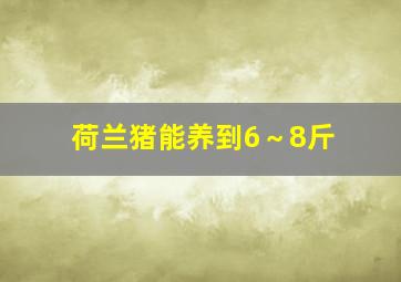 荷兰猪能养到6～8斤