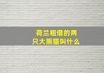 荷兰租借的两只大熊猫叫什么