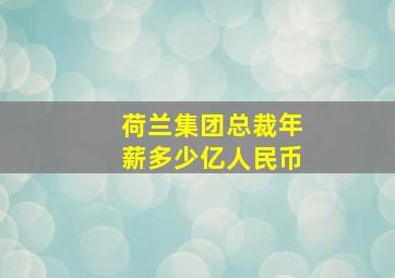 荷兰集团总裁年薪多少亿人民币